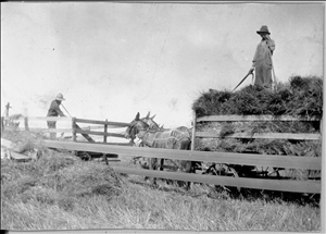 alvin mccall farm wagon.jpg